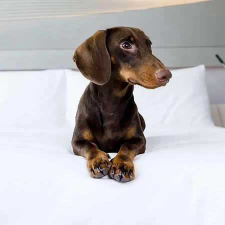 Innside Tenerife Cruz Hotel