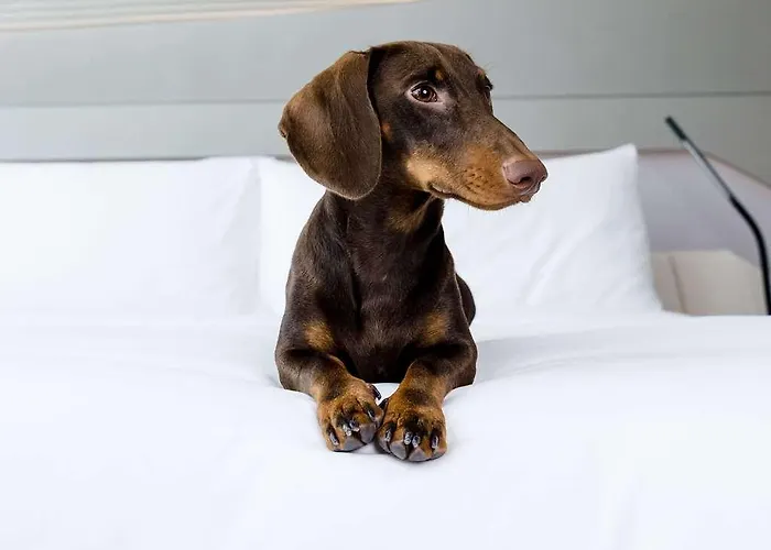 Innside Tenerife Cruz Hotel